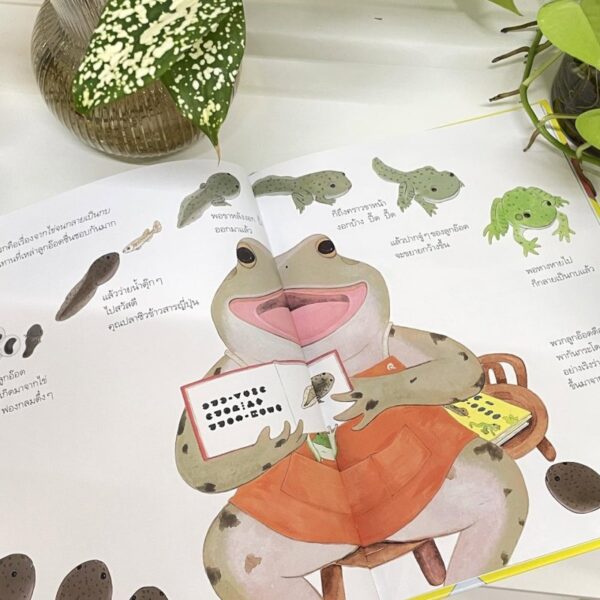(ปกแข็ง) ร้านหนังสือของคุณกบ / Tamiko Tagi / สิริพร คดชาคร / Amarin Kids