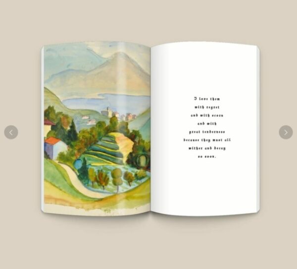 9786167982960_1.jpg ไฟชีวิต : ฤดูร้อนปีสุดท้ายของคลิงซอร์ Klingsor's Last Summer / Hermann Hesse / สดใส / openbooks