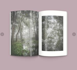 อู๋เหวย : อกรรมกิริยา / ภิญโญ ไตรสุริยธรรมา / openbooks