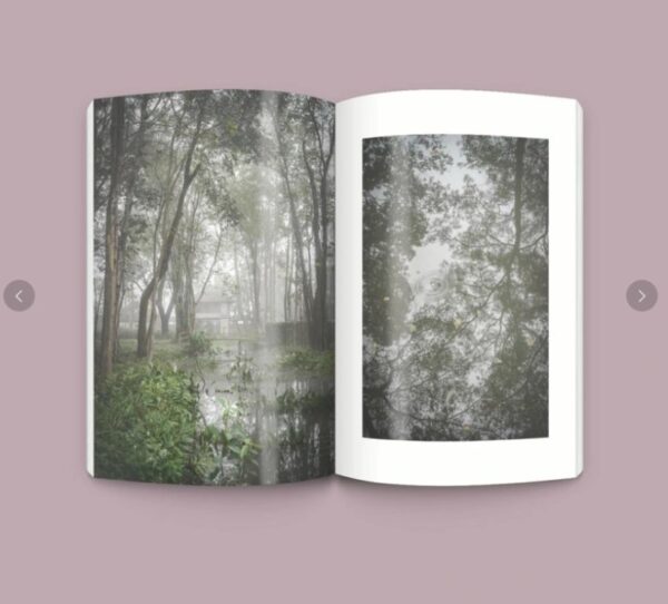 อู๋เหวย : อกรรมกิริยา / ภิญโญ ไตรสุริยธรรมา / openbooks