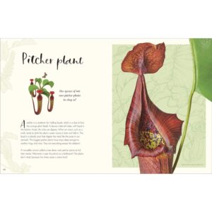 9780241682661-04.jpg (Eng) (Hardcover) (ใหม่มือ1 มีตำหนิเล็กน้อย) The Wonders of Nature / Ben Hoare / DK