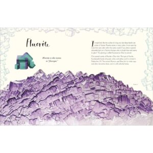9780241682661-05.jpg (Eng) (Hardcover) (ใหม่มือ1 มีตำหนิเล็กน้อย) The Wonders of Nature / Ben Hoare / DK