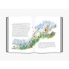The King of the Golden River / John Ruskin / Illustrated by Quentin Blake / Thames&Hudson