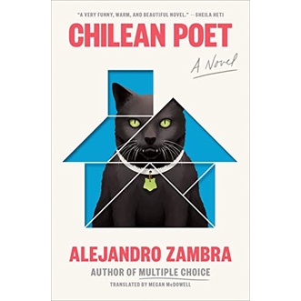 (Eng) Chilean Poet: A Novel / Alejandro Zambra / Megan McDowell / Penguin Putnam Inc