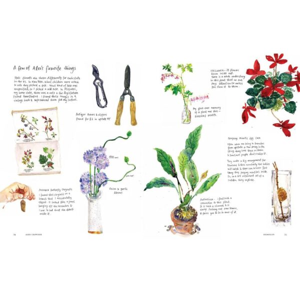 9781797222493-06.jpg (Eng) Searching for Sunshine Finding Connections with Plants, Parks, and the People Who Love Them / Ishita Jain