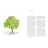 9781797222493-08.jpg (Eng) Searching for Sunshine Finding Connections with Plants, Parks, and the People Who Love Them / Ishita Jain