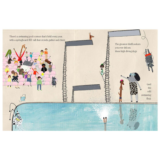 (ENG /Hardback) Bernard Makes a Splash / Lisa Stickley / Tate Publishing