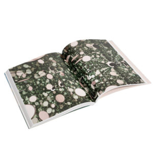 (ENG) Light / Kerryn Greenberg / Tate Publishing