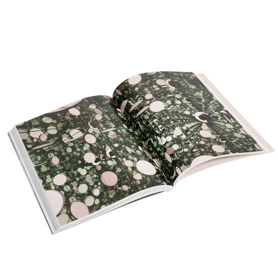 (ENG) Light / Kerryn Greenberg / Tate Publishing