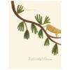 9781911496304-03.jpg (Eng) Good Morning, Neighbour / Text: Davide Cali Illustrations: Maria Dek / Book Island