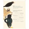 9781911496304-04.jpg (Eng) Good Morning, Neighbour / Text: Davide Cali Illustrations: Maria Dek / Book Island