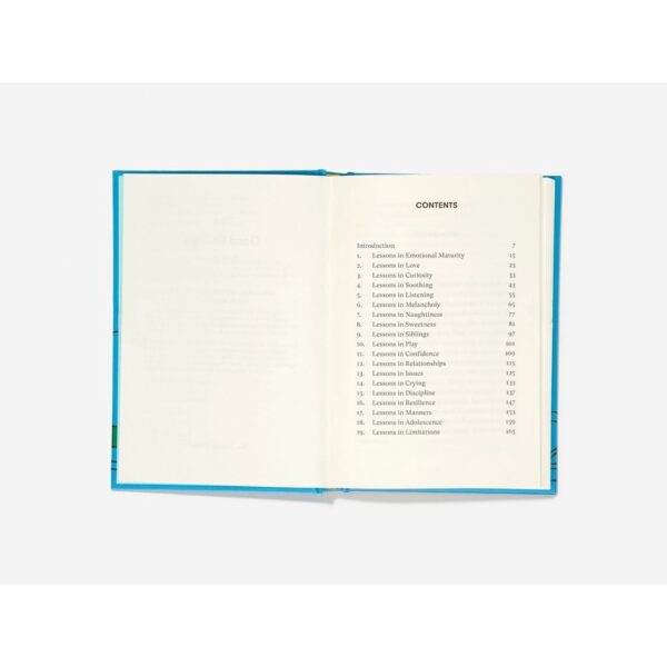(Eng) The Good Enough Parent (Hardcover) / School of life