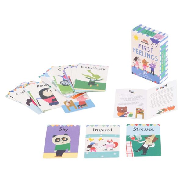 9781913520502-09.jpg (Eng) First Feelings Cards / Emily Sharratt, Monika Forsberg (Illustrator)