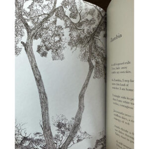(Eng) UNSEEN VEINS / NATASHA DEVALIA / Poetry and Art