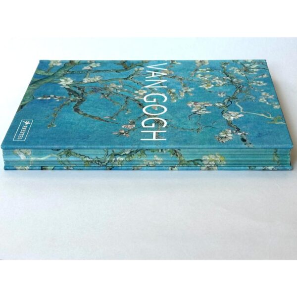 9783791377599-03.jpg (Eng) Van Gogh : The Bigger Picture (Hardcover) / Anne Sefrioui (Author) / Prestel