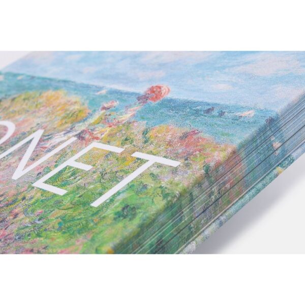 (Eng) Monet : The Bigger Picture (Hardcover) / Anne Sefrioui (Author) / Prestel