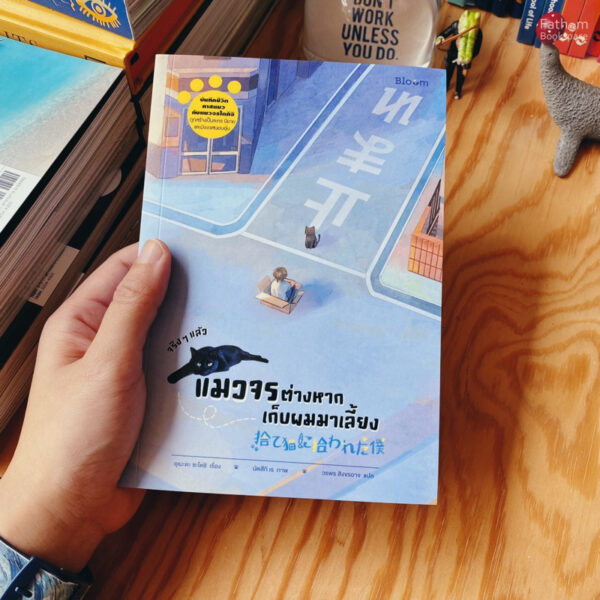 9786160459667-01.jpg จริง ๆ แล้วแมวจรต่างหากเก็บผมมาเลี้ยง / เรื่อง: อุเมะดะ ซะโตะชิ / ภาพ: นัตสึกิ เร / Bloom publishing