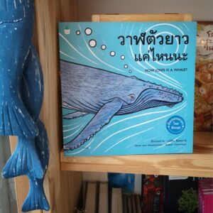 9786161840426-01.jpg วาฬตัวยาวแค่ไหนนะ HOW LONG IS A WHALE? / Alison Limentani / Amarin Kids