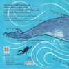 วาฬตัวยาวแค่ไหนนะ HOW LONG IS A WHALE? / Alison Limentani / Amarin Kids