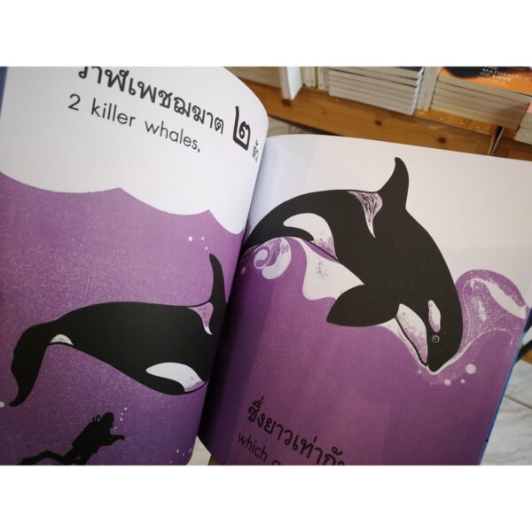 วาฬตัวยาวแค่ไหนนะ HOW LONG IS A WHALE? / Alison Limentani / Amarin Kids