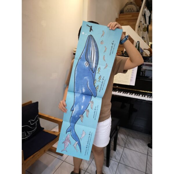 วาฬตัวยาวแค่ไหนนะ HOW LONG IS A WHALE? / Alison Limentani / Amarin Kids