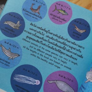 9786161840426-07.jpg วาฬตัวยาวแค่ไหนนะ HOW LONG IS A WHALE? / Alison Limentani / Amarin Kids