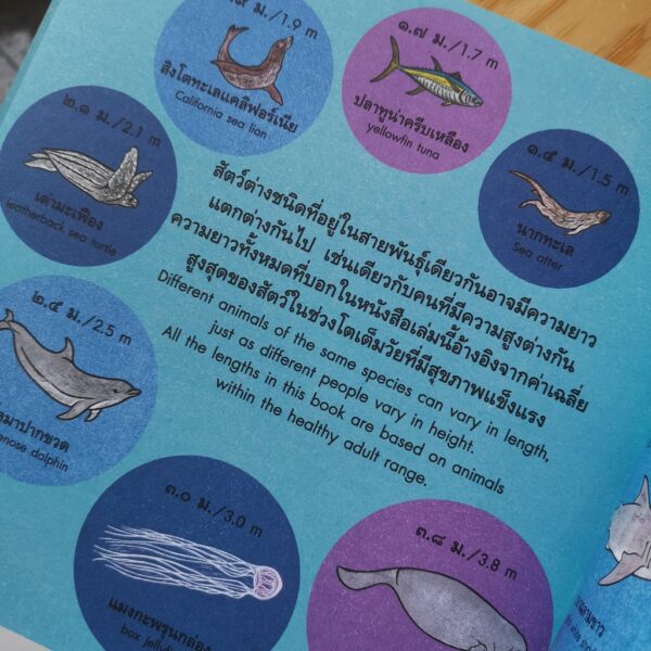 วาฬตัวยาวแค่ไหนนะ HOW LONG IS A WHALE? / Alison Limentani / Amarin Kids