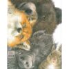 นักล่าดวงดาว (ปกแข็ง) / ยูมิ ชิโมะคาวาระ (Yumi Shimokawara)