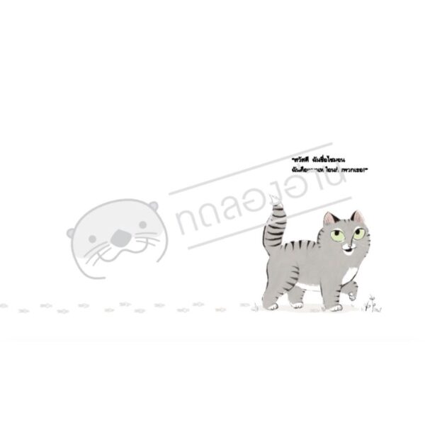 ฉันคือแมว (ปกแข็ง) / การ์เลีย เบิร์นสไตน์ (Galia Bernstein)