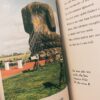 9786162985492-05.jpg Uninspired by Current Events: Sorry Stories / Salmon Books