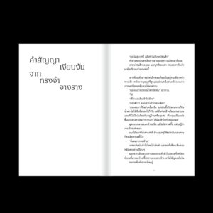 ร่วงหล่นในอนธการ / นริศพงศ์ รักวัฒนานนท์ / Salmon Books