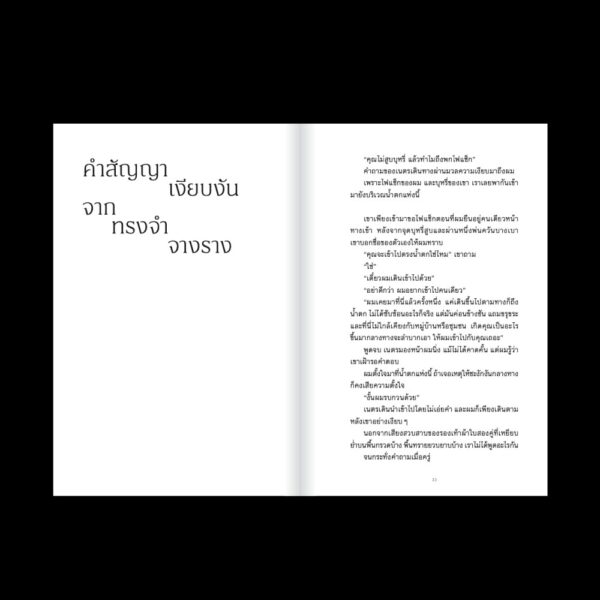 ร่วงหล่นในอนธการ / นริศพงศ์ รักวัฒนานนท์ / Salmon Books