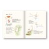 Gluta Story the comic / ยอร์ช สรศาสตร์ วิเศษศิลป์ / ขายหัวเราะสตูดิโอ