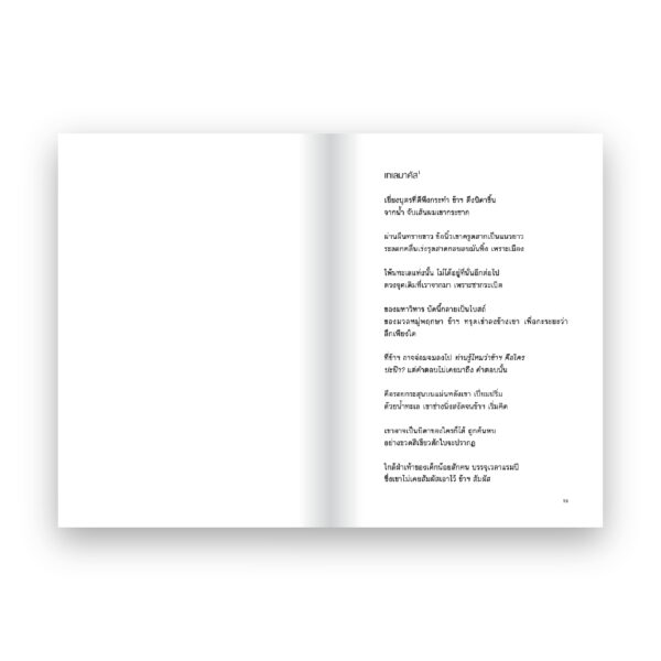 NIGHT SKY WITH EXIT WOUNDS คืนที่แผลส่องแสงเป็นประกาย / โอเชียน วอง (Ocean Voung) / ซูลิโกะ / Salmon Books