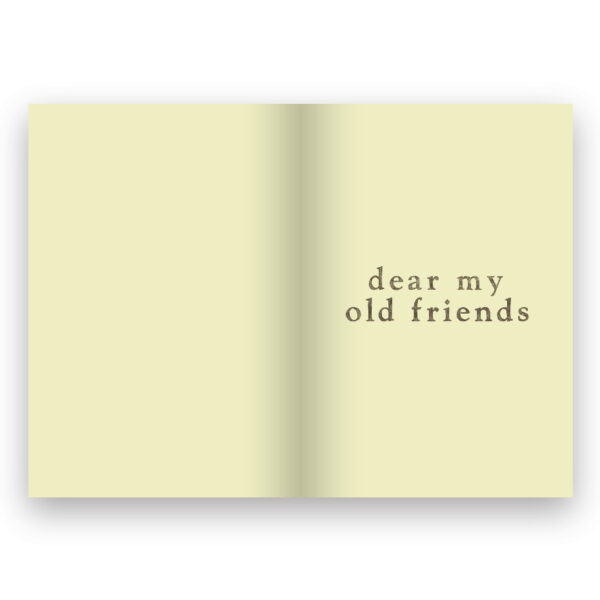 9786162986710-02.jpg DEAR MY OLD FRIENDS บันทึกก่อนจากลา แด่เพื่อนเก่าของฉัน / พิแน / Salmon Books