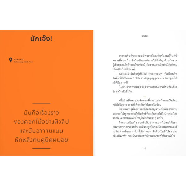 ดัตซ์แลนด์ นักเจ๊ง ผู้เคารพความต่างและผู้สร้างสันติภาพ / Little Thoughts / แสงดาว