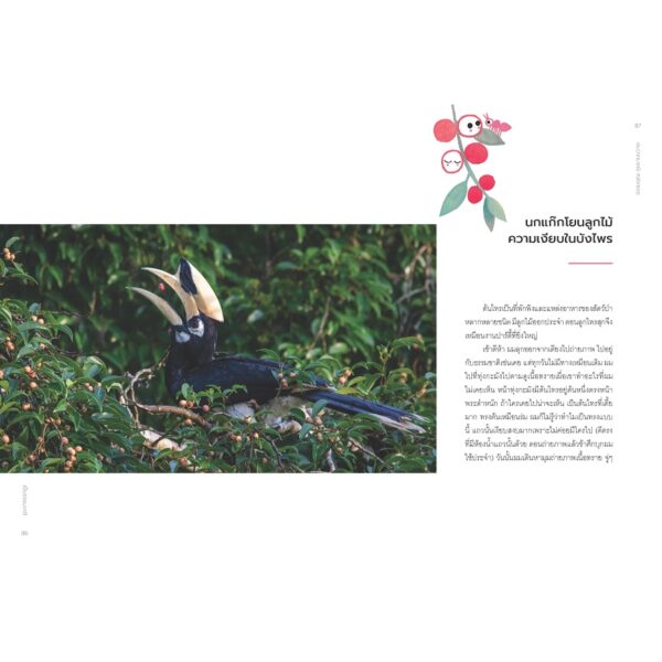 9786163933713-04.jpg Being Nature เป็นธรรมชาติ / ธรรมบุญ อุยยานนวาระ บุ๊น / SOOK Publishing