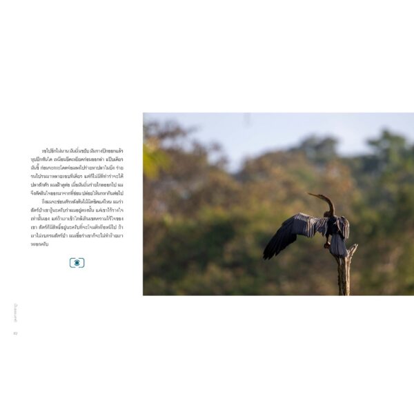 9786163933713-05.jpg Being Nature เป็นธรรมชาติ / ธรรมบุญ อุยยานนวาระ บุ๊น / SOOK Publishing