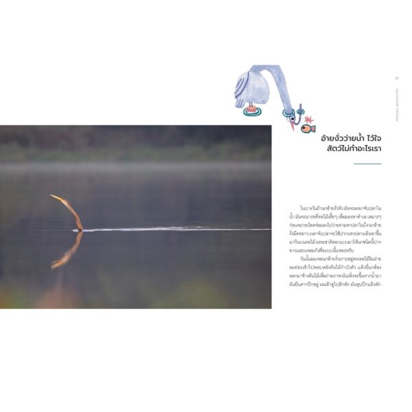 9786163933713-08.jpg Being Nature เป็นธรรมชาติ / ธรรมบุญ อุยยานนวาระ บุ๊น / SOOK Publishing