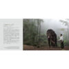 (Eng) The Social Life of TEAK / TIM WEBSTER & VIRGINIA HENDERSON / River Books