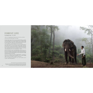 (Eng) The Social Life of TEAK / TIM WEBSTER & VIRGINIA HENDERSON / River Books