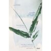 อาบป่า ชินริน-โยกุ วิถีแห่งการฟื้นฟูชีวิต Forest Bathing The Rejuvenating Practice of Shinrin Yoku / เอกตอร์ การ์ซิอา และ ฟรันเซส มิราเยส / สุวัฒน์ อัศวไชยชาญ / สารคดี
