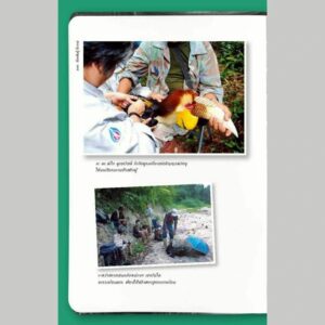 ส่องโพรง สืบไพร / ดร.พิไล พูลสวัสดิ์และคณะ / มูลนิธิศึกษาวิจัยนกเงือก / สารคดี