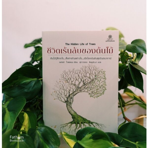 9786164830493-01.jpg ชีวิตเร้นลับของต้นไม้ (The Hidden Life of Trees) / Peter Wohlleben / ผู้แปล: สุดาวรรณ สินธุประมา / สำนักพิมพ์มูลนิธิโกมลคีมทอง