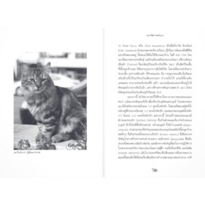 ประวัติศาสตร์แมว : A History of cats / ชาครีย์นรทิพย์ เสวิกุล / แสงดาว