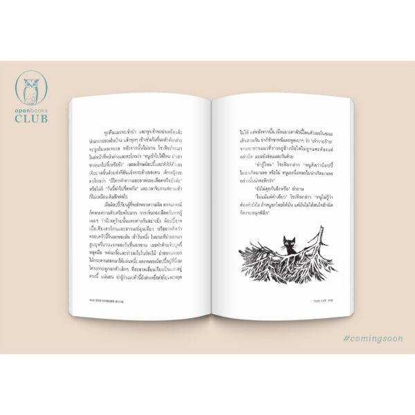 (ปกอ่อน) The Summer Book เกาะแก่งแห่งชีวิต / ตูเว ยานซอน / กัญญ์ชลา นาวานุเคราะห์ / openbooks