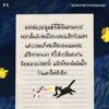 จดหมายจากดาวแมว / นทธี ศศิวิมล / P.S.
