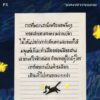 จดหมายจากดาวแมว / นทธี ศศิวิมล / P.S.