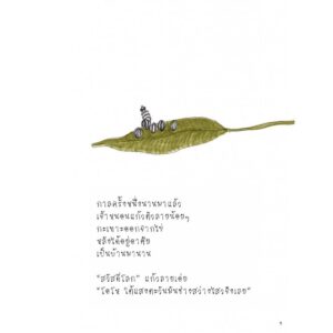 ดอกไม้และความหวัง / ทริน่า เพาลัส / เสมสิกขาลัย
