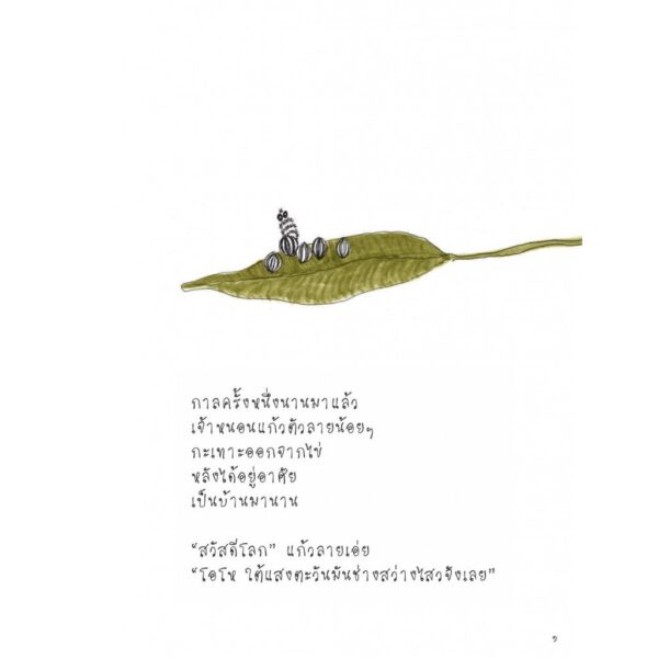 ดอกไม้และความหวัง / ทริน่า เพาลัส / เสมสิกขาลัย